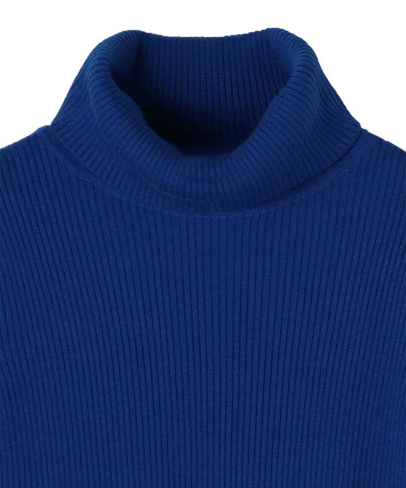 Wool-blend turtleneck ribbed knit